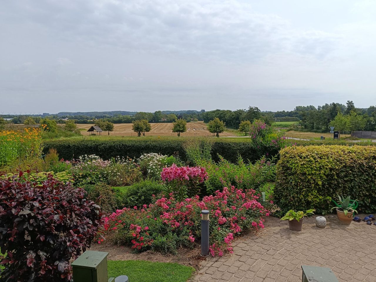 image 04